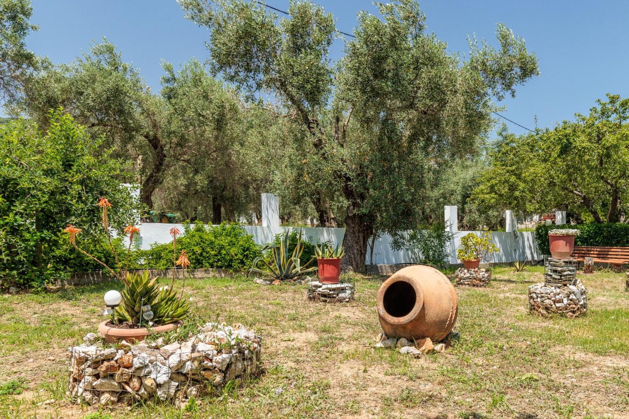 Panagou Studios Skopelos Eksteriør billede